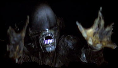 فيلم الرعب العالمي الن Alien 1979 نسخة مترجمة ومعدلة من رفعي Alien215
