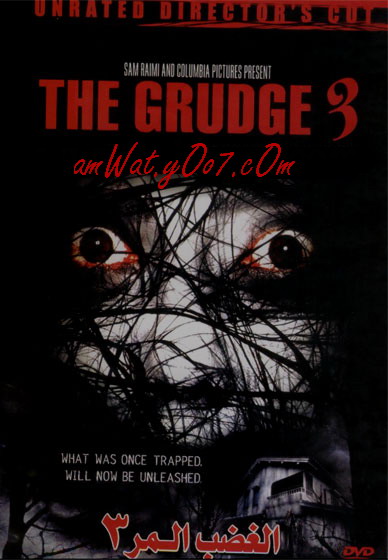 قصة مختصرة عن فيلم الرعب The Grudge 3 - III 2009 Grudge10