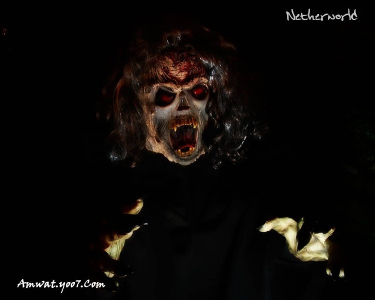 خلفيات فيلم الرعب هالوين Halloween - خلفيات رعب وحوش ومقابر Fear1110_800x600