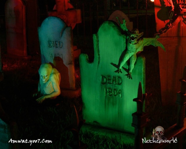 خلفيات فيلم الرعب هالوين Halloween - خلفيات رعب وحوش ومقابر Fear1210_800x600