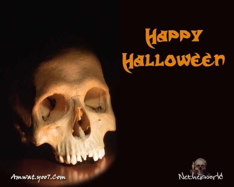 خلفيات فيلم الرعب هالوين Halloween - خلفيات رعب وحوش ومقابر Fear1810_800x600