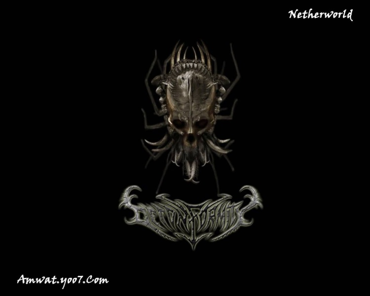 خلفية Scorpion - خلفيات spider web - خلفيات - Pirate - augen Horro627_800x600